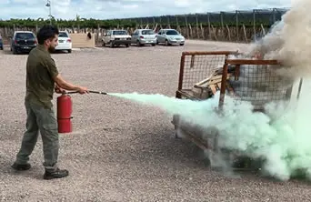 Neurociencia Aplicada a la Seguridad y Prencion